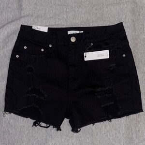 NWT Festival Shorts